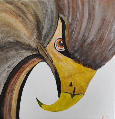 Greifvogel Greifvogel