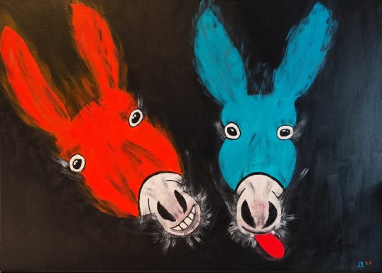burro e burro burro e burro