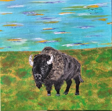 Bisons Bisons